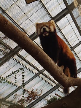 神戸どうぶつ王国に投稿された画像（2025/1/3）