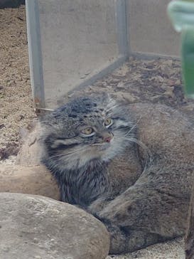 神戸どうぶつ王国に投稿された画像（2025/1/3）