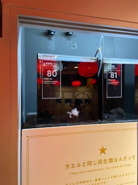 横浜開運水族館 フォーチュンアクアリウムに投稿された画像（2025/1/3）