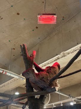 霞ケ浦 どうぶつとみんなのいえに投稿された画像（2025/1/3）