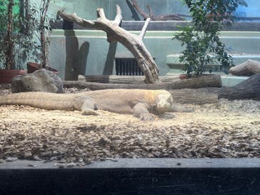 名古屋市東山動植物園に投稿された画像（2025/1/3）