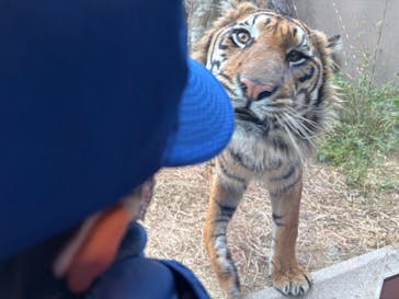 名古屋市東山動植物園に投稿された画像（2025/1/3）