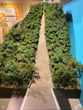 連載15周年突破記念【超！弱虫ペダル展】に投稿された画像（2025/1/3）