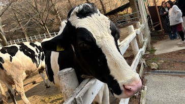 神戸市立六甲山牧場に投稿された画像（2025/1/3）