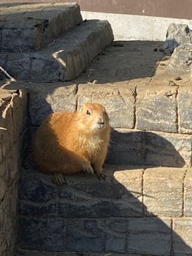 伊豆シャボテン動物公園に投稿された画像（2025/1/3）