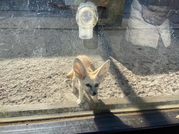 伊豆シャボテン動物公園に投稿された画像（2025/1/3）