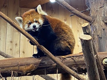 伊豆シャボテン動物公園に投稿された画像（2025/1/3）