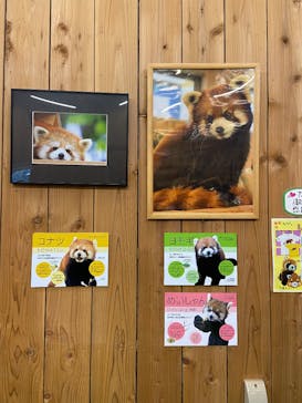 伊豆シャボテン動物公園に投稿された画像（2025/1/3）