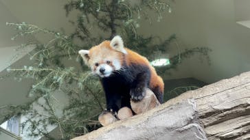 那須どうぶつ王国に投稿された画像（2025/1/3）