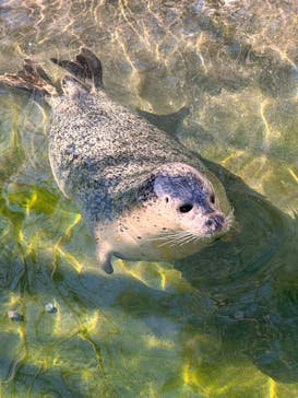 那須どうぶつ王国に投稿された画像（2025/1/3）