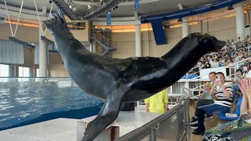 アクアワールド茨城県大洗水族館に投稿された画像（2025/1/3）