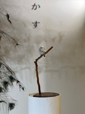 特別展「鳥 ～ゲノム解析が解き明かす新しい鳥類の系統～」国立科学博物館に投稿された画像（2025/1/3）