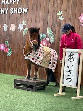 ノーザンホースパークに投稿された画像（2025/1/3）