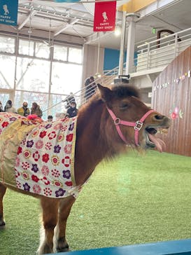 ノーザンホースパークに投稿された画像（2025/1/3）