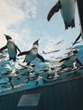 サンシャイン水族館に投稿された画像（2025/1/3）