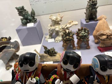 おきなわワールドに投稿された画像（2025/1/3）