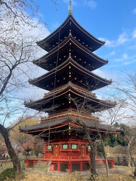 恩賜上野動物園に投稿された画像（2025/1/3）