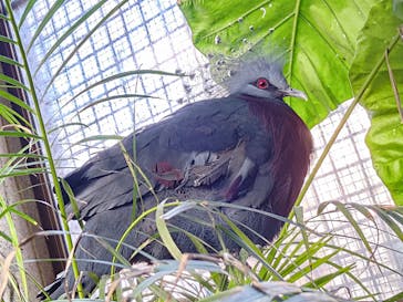 那須どうぶつ王国に投稿された画像（2025/1/3）