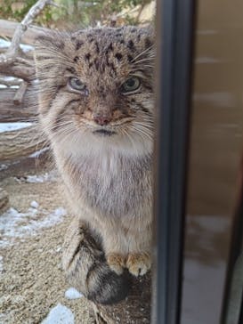 那須どうぶつ王国に投稿された画像（2025/1/3）