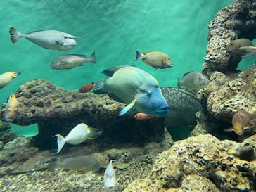葛西臨海水族園に投稿された画像（2025/1/3）
