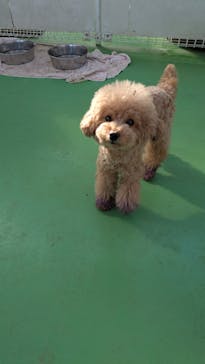 つくばわんわんランドに投稿された画像（2025/1/3）