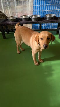 つくばわんわんランドに投稿された画像（2025/1/3）