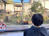 天王寺動物園に投稿された画像（2025/1/3）