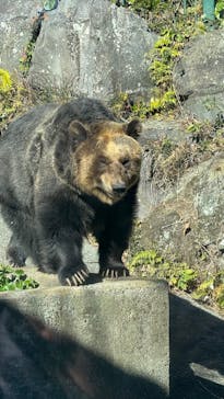 伊豆アニマルキングダムに投稿された画像（2025/1/3）