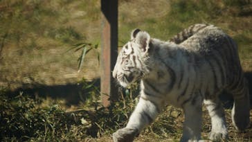 伊豆アニマルキングダムに投稿された画像（2025/1/3）