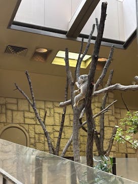 名古屋市東山動植物園に投稿された画像（2025/1/3）