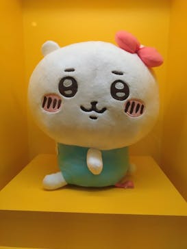 Hello Kitty展 わたしが変わるとキティも変わるに投稿された画像（2025/1/3）