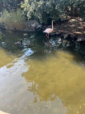 神戸どうぶつ王国に投稿された画像（2025/1/3）