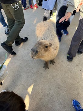 神戸どうぶつ王国に投稿された画像（2025/1/3）