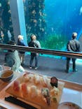 環境水族館アクアマリンふくしまに投稿された画像（2025/1/3）
