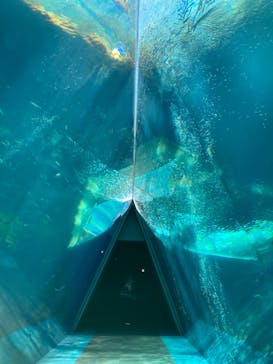 環境水族館アクアマリンふくしまに投稿された画像（2025/1/3）