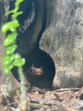 AOAO SAPPOROに投稿された画像（2025/1/3）