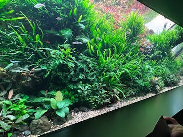 AOAO SAPPOROに投稿された画像（2025/1/3）