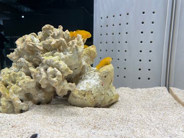 AOAO SAPPOROに投稿された画像（2025/1/3）