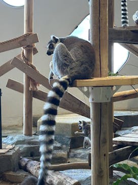 NIFREL（ニフレル）に投稿された画像（2025/1/3）