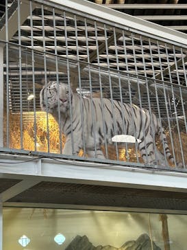 NIFREL（ニフレル）に投稿された画像（2025/1/3）