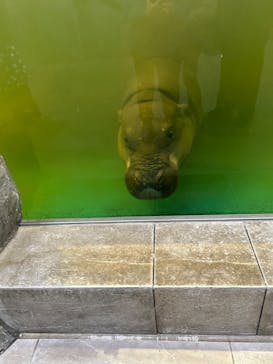 NIFREL（ニフレル）に投稿された画像（2025/1/3）