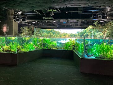 カワスイ 川崎⽔族館に投稿された画像（2025/1/3）