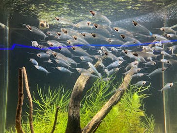 カワスイ 川崎⽔族館に投稿された画像（2025/1/3）