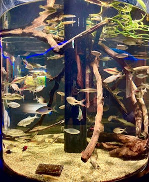 カワスイ 川崎⽔族館に投稿された画像（2025/1/3）