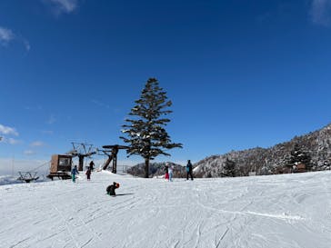 YAMABOKUワイルドスノーパークに投稿された画像（2025/1/3）