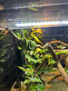 カワスイ 川崎⽔族館に投稿された画像（2025/1/3）