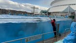 名古屋港水族館に投稿された画像（2025/1/3）