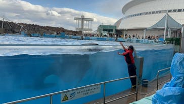 名古屋港水族館に投稿された画像（2025/1/3）