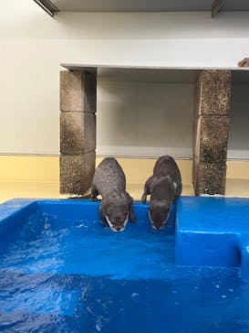 越前松島水族館に投稿された画像（2025/1/3）