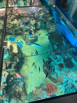越前松島水族館に投稿された画像（2025/1/3）